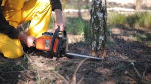 Best Lawn Mowing  in Church Hill, TN